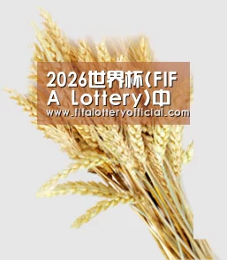 2026世界杯(FIFA Lottery)中国体育彩票投注平台_官网入口