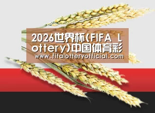 2026世界杯(FIFA Lottery)中国体育彩票投注平台_官网入口