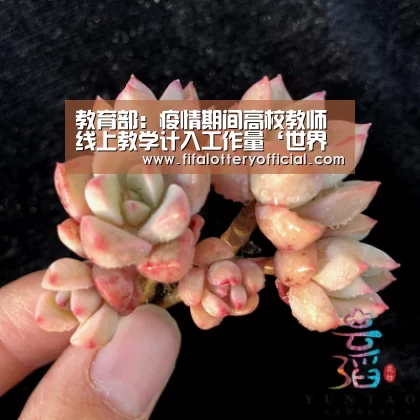 教育部:疫情期间高校教师线上教学计入工作量‘世界杯投注站’(图4) 世界杯投注站官网