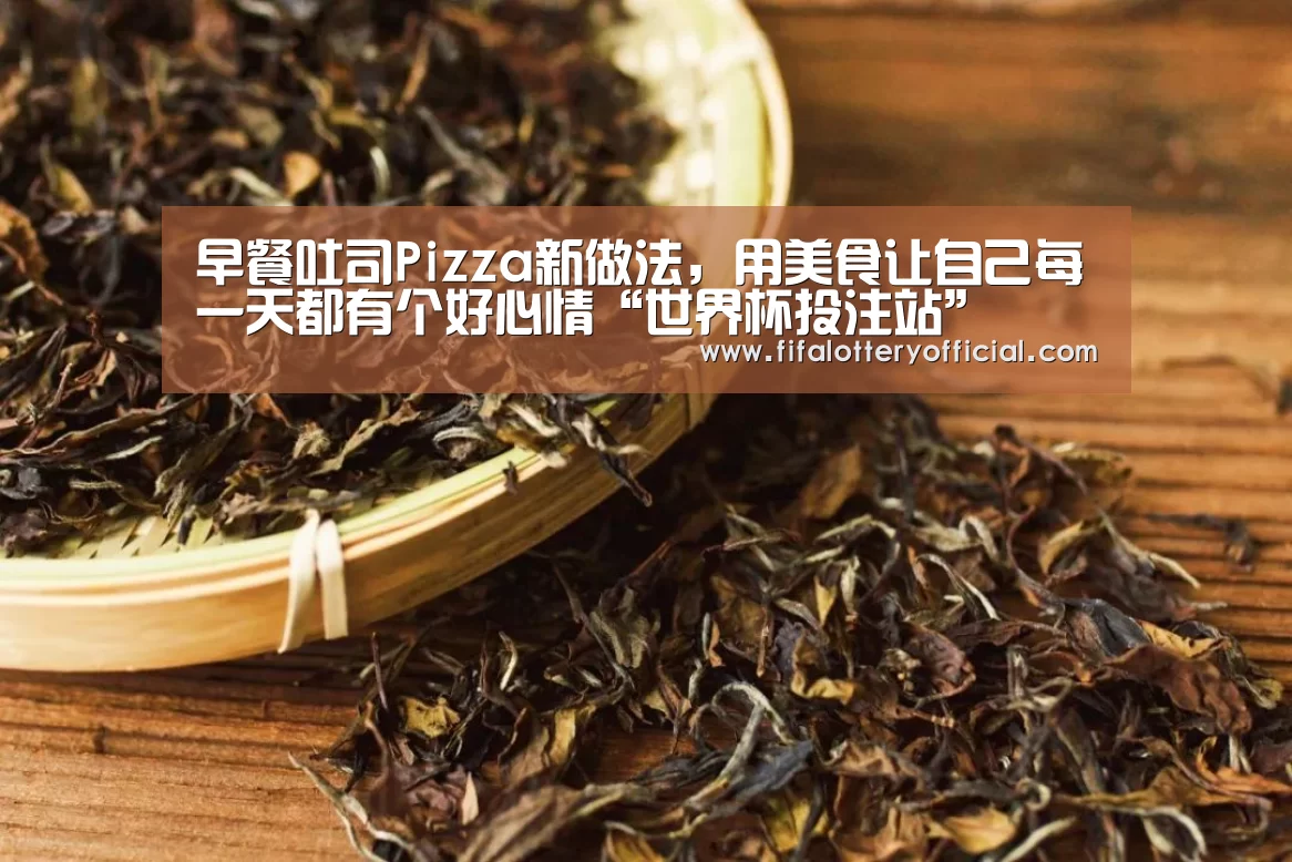 世界杯投注站官网