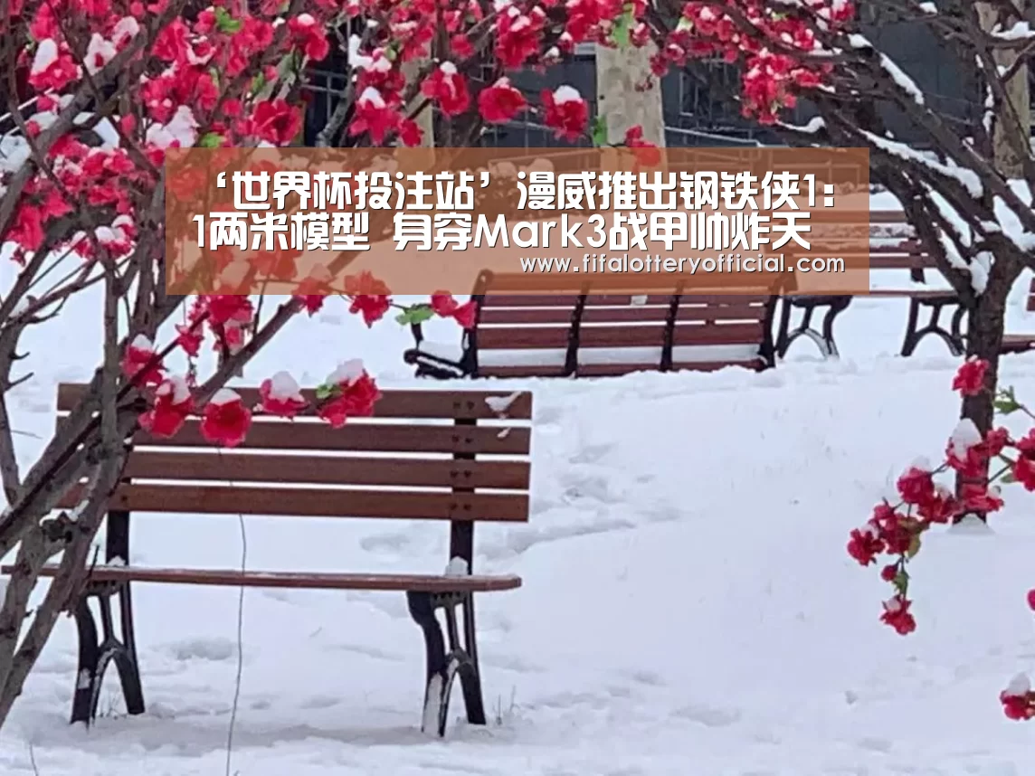 世界杯投注站官网