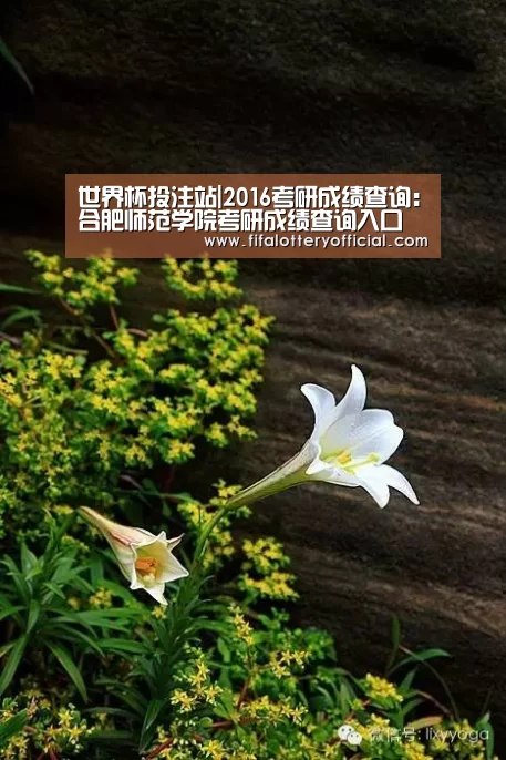 世界杯投注站|2016考研成绩查询:合肥师范学院考研成绩查询入口(图3) 世界杯投注站官网